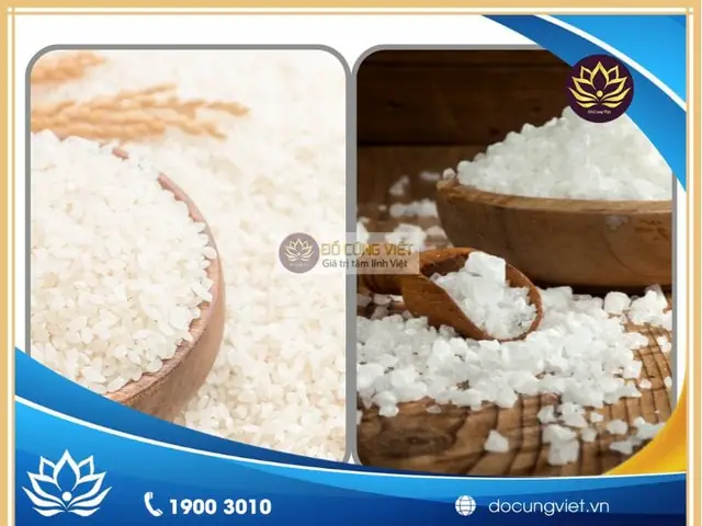 Gạo Muối Cúng Xong Làm Gì? Thời Điểm Vàng Thay Gạo Muối Giữ Vận Khí Gạo Muối Cúng Xong Làm Gì? Thời Điểm Vàng Thay Gạo Muối Giữ Vận Khí