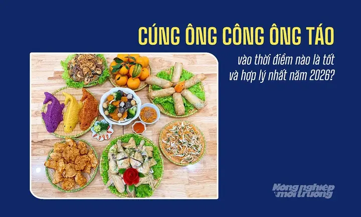 Giờ Tốt Cúng Ông Công Ông Táo 2027 Theo Tuổi: Ngày Giờ Đẹp, Văn Khấn Chi Tiết