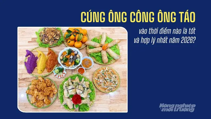 Giờ Tốt Cúng Ông Công Ông Táo 2027 Theo Tuổi: Ngày Giờ Đẹp, Văn Khấn Chi Tiết