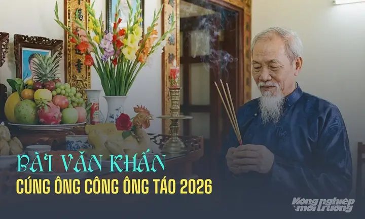 Giờ Tốt Cúng Ông Công Ông Táo 2027 Theo Tuổi: Ngày Giờ Đẹp, Văn Khấn Chi Tiết