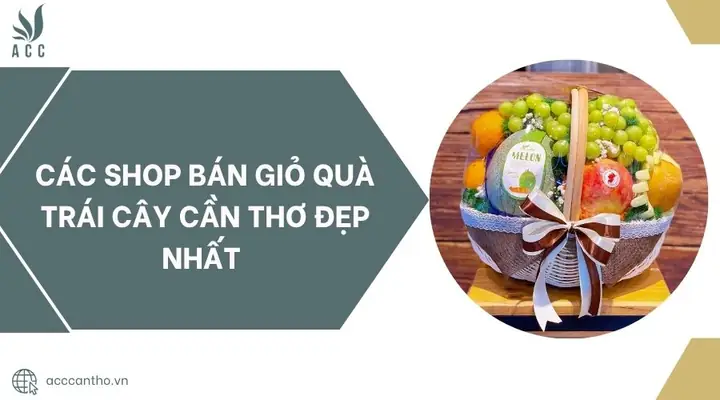 Giỏ Trái Cây Cúng Cần Thơ: Chọn Quà Tặng Ý Nghĩa & Hướng Dẫn Chi Tiết Giỏ Trái Cây Cúng Cần Thơ: Chọn Quà Tặng Ý Nghĩa & Hướng Dẫn Chi Tiết
