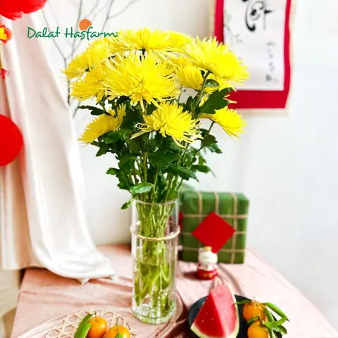Gợi Ý Hoa Cúng Rằm: Chọn Loại Nào Mang Lại May Mắn, Tài Lộc Thay Vì Chỉ Hoa Cúc? Gợi Ý Hoa Cúng Rằm: Chọn Loại Nào Mang Lại May Mắn, Tài Lộc Thay Vì Chỉ Hoa Cúc?