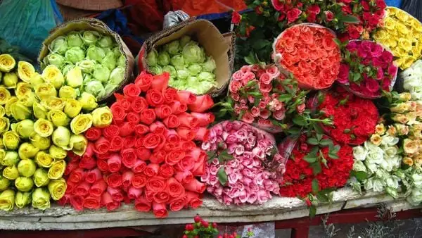 Top 10+ Loại Hoa Cúng Lâu Tàn: Giữ Vẻ Đẹp Chân Thành, Tiết Kiệm Chi Phí