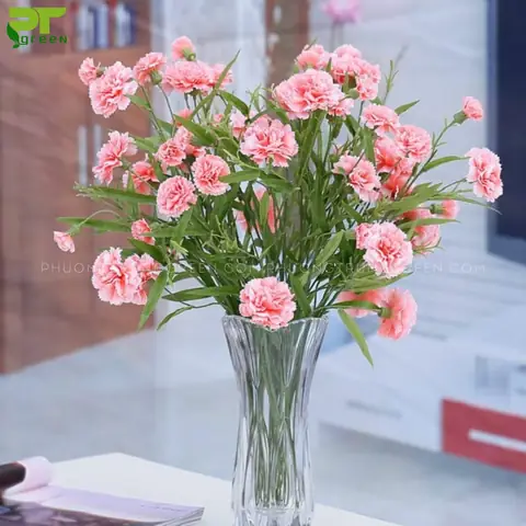 Top 10+ Loại Hoa Cúng Lâu Tàn: Giữ Vẻ Đẹp Chân Thành, Tiết Kiệm Chi Phí