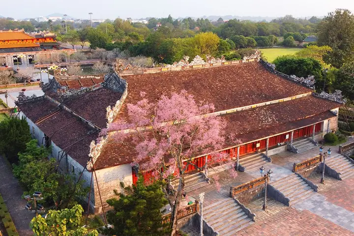Hoa Cúng Ở Huế: Các Loại Phổ Biến, Ý Nghĩa & Lưu Ý Khi Chọn Hoa Cúng Ở Huế: Các Loại Phổ Biến, Ý Nghĩa & Lưu Ý Khi Chọn