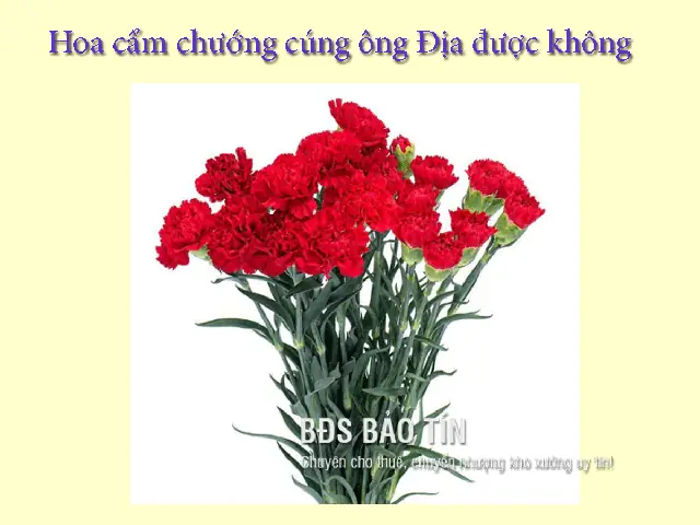 Không Được Cúng Cam Cho Ông Địa: Những Loại Trái Cây Kiêng Kỵ & Nên Dâng Thắp Hương