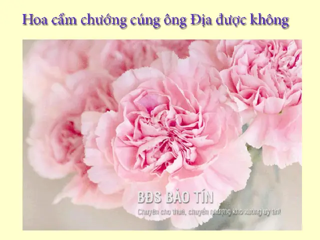 Không Được Cúng Cam Cho Ông Địa: Những Loại Trái Cây Kiêng Kỵ & Nên Dâng Thắp Hương