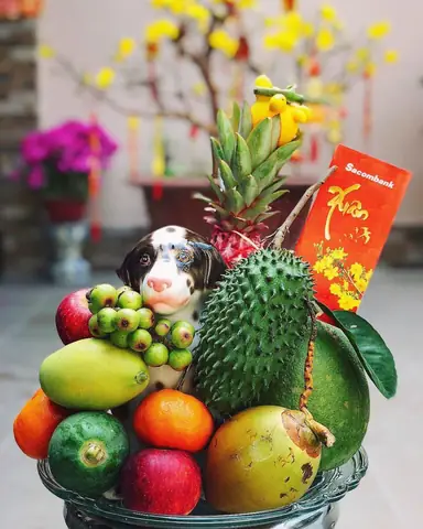 Mâm Ngũ Quả Đặt Ở Đâu Trên Bàn Thờ Để Hút Lộc & Chuẩn Phong Thủy?
