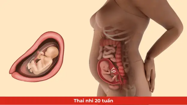 Mấy Tháng Thì Cúng Bà Cho Mẹ Bầu? Thời Điểm, Ý Nghĩa Và Cách Chuẩn Bị Chi Tiết Mấy Tháng Thì Cúng Bà Cho Mẹ Bầu? Thời Điểm, Ý Nghĩa Và Cách Chuẩn Bị Chi Tiết