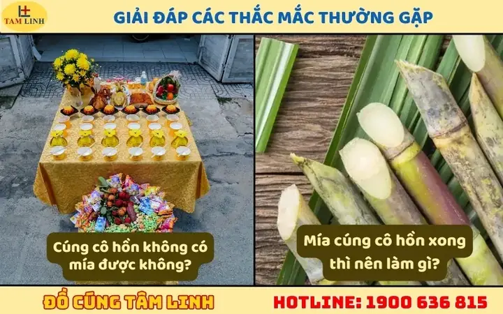 Mía Ghim Cúng Cô Hồn: Ý Nghĩa, Cách Chuẩn Bị Và Lời Giải Đáp