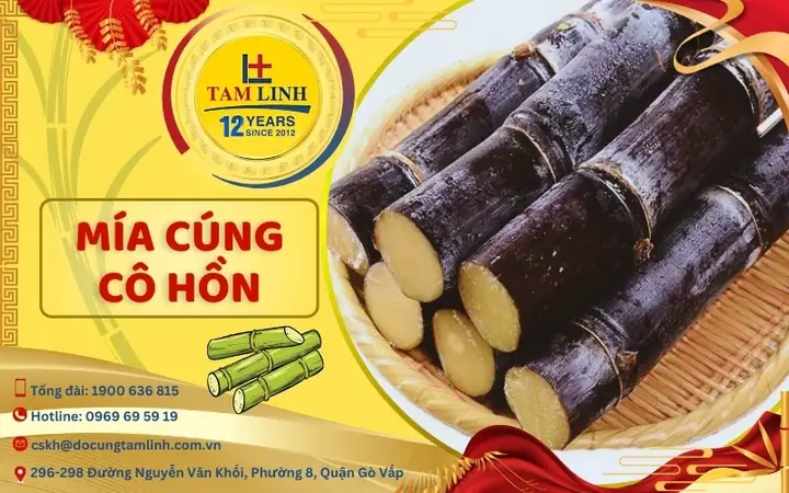 Mía Ghim Cúng Cô Hồn: Ý Nghĩa, Cách Chuẩn Bị Và Lời Giải Đáp