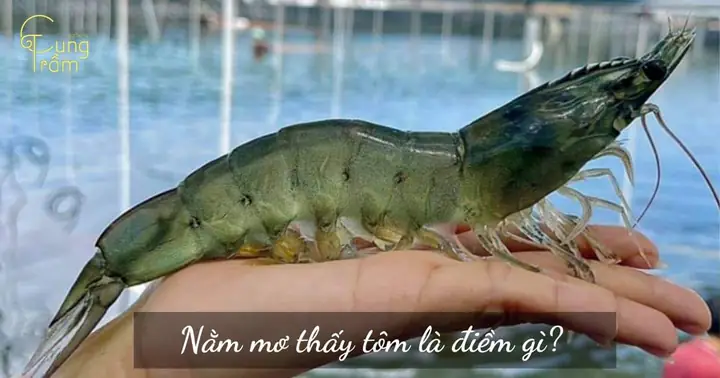 Mơ Thấy Tôm Cúng Trên Bàn Thờ: Giải Mã Điềm Báo, Ý Nghĩa Và Con Số May Mắn