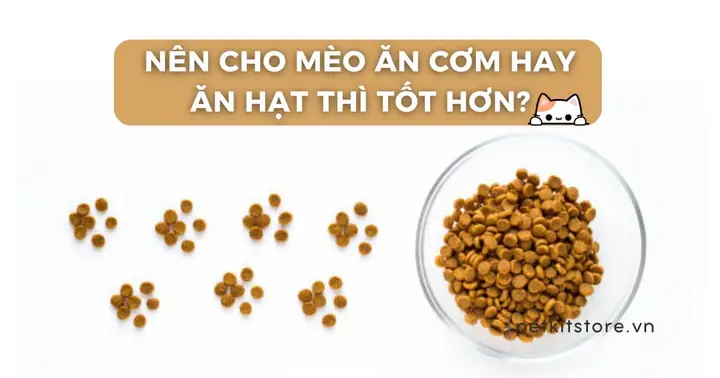 "một Muôi Cơm Cúng, Hai Muôi Cơm Người": Giải Mã Ý Nghĩa Và Kiêng Kỵ Theo Quan Niệm Dân Gian