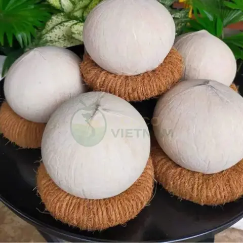 Mùng 8 Tết Cúng Dừa: Ý Nghĩa, Cách Chuẩn Bị Và Lễ Vật