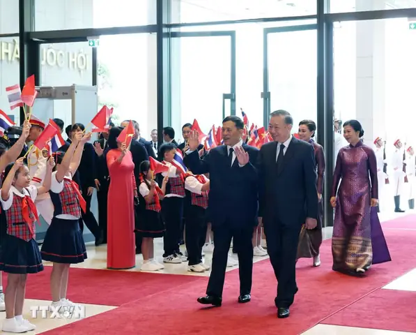 Nghi Thức Cúng Sao Giải Hạn Năm Đinh Dậu: Hướng Dẫn Chi Tiết Và Văn Khấn Nghi Thức Cúng Sao Giải Hạn Năm Đinh Dậu: Hướng Dẫn Chi Tiết Và Văn Khấn