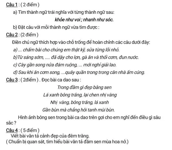 Trái Nghĩa Với Ấm Cúng Là Gì? Các Từ Đối Lập Hoàn Toàn Trái Nghĩa Với Ấm Cúng Là Gì? Các Từ Đối Lập Hoàn Toàn